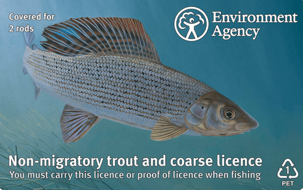 What Does the Fishing Licene Look Like? What Does the Fishing Licene Look Like?