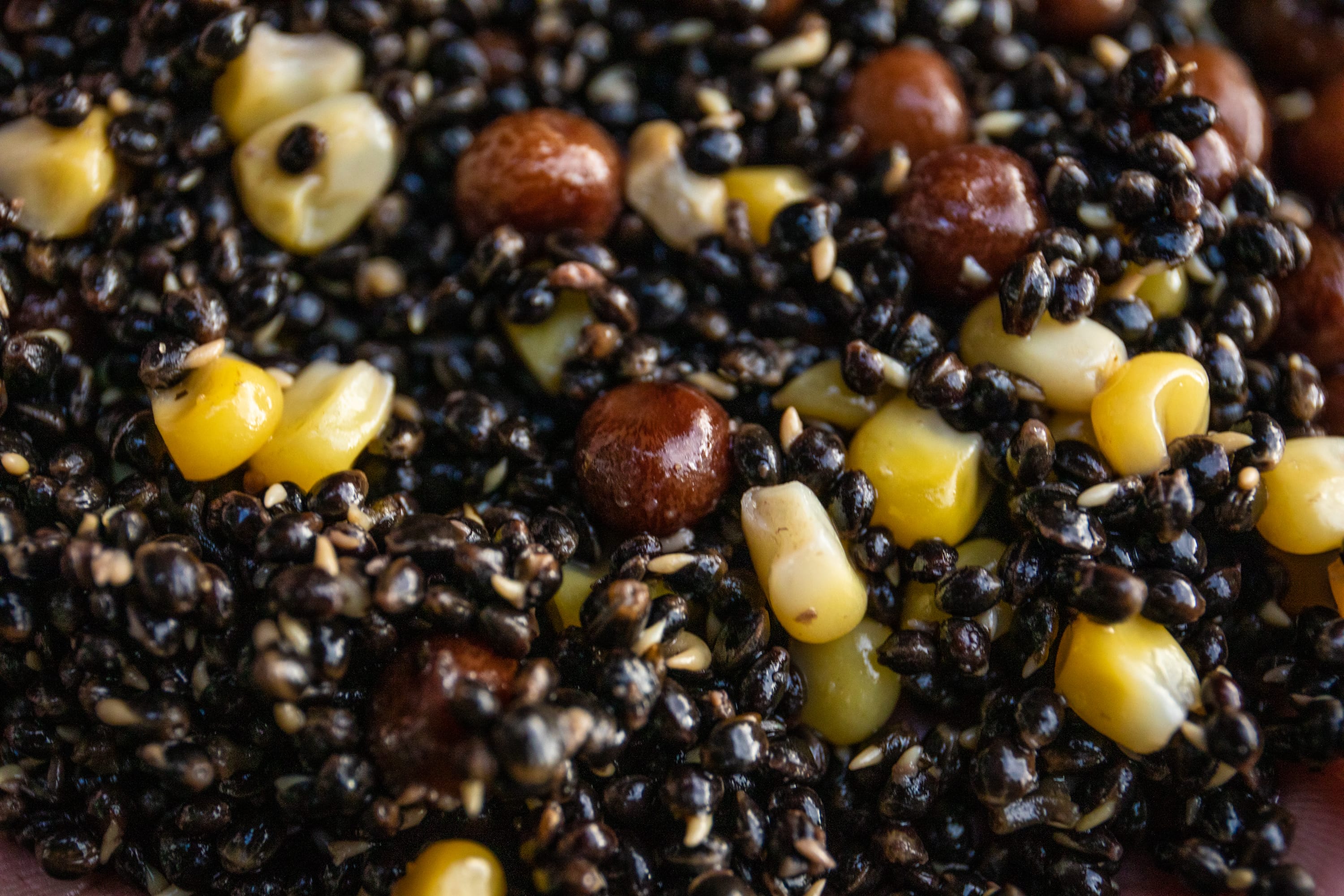 Carp Spod with with Hempseed, Sweetcorn & Nuts