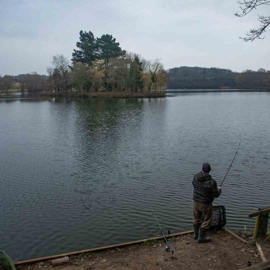 Homersfield Lake for Carp Fishing