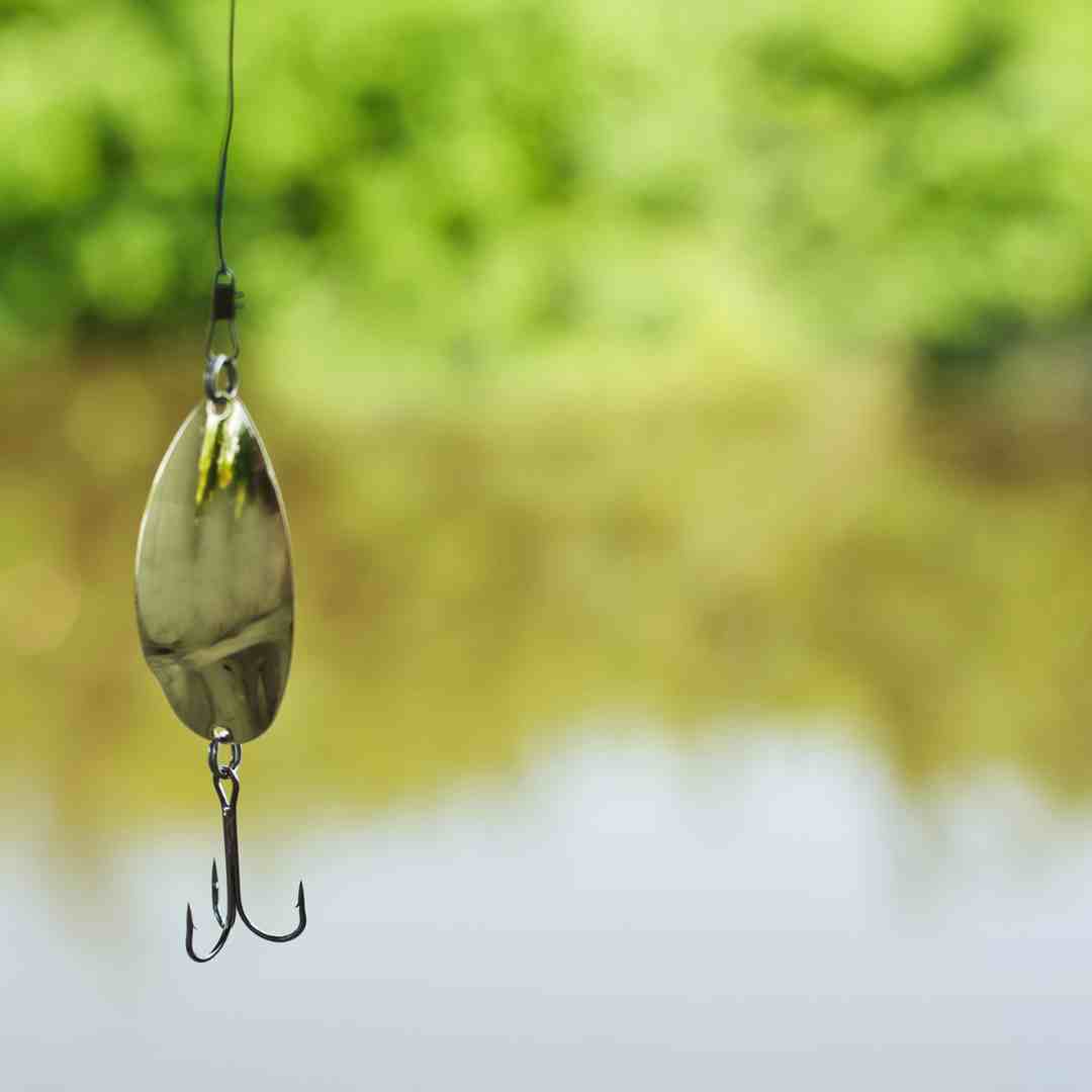 How do spoons attract fish? How do spoons attract fish?