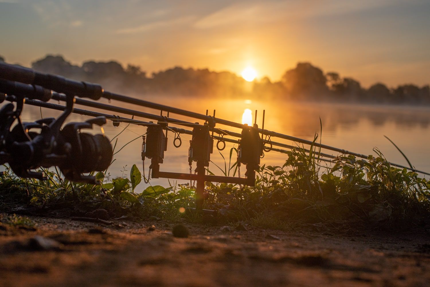 Bite alarms for fishing