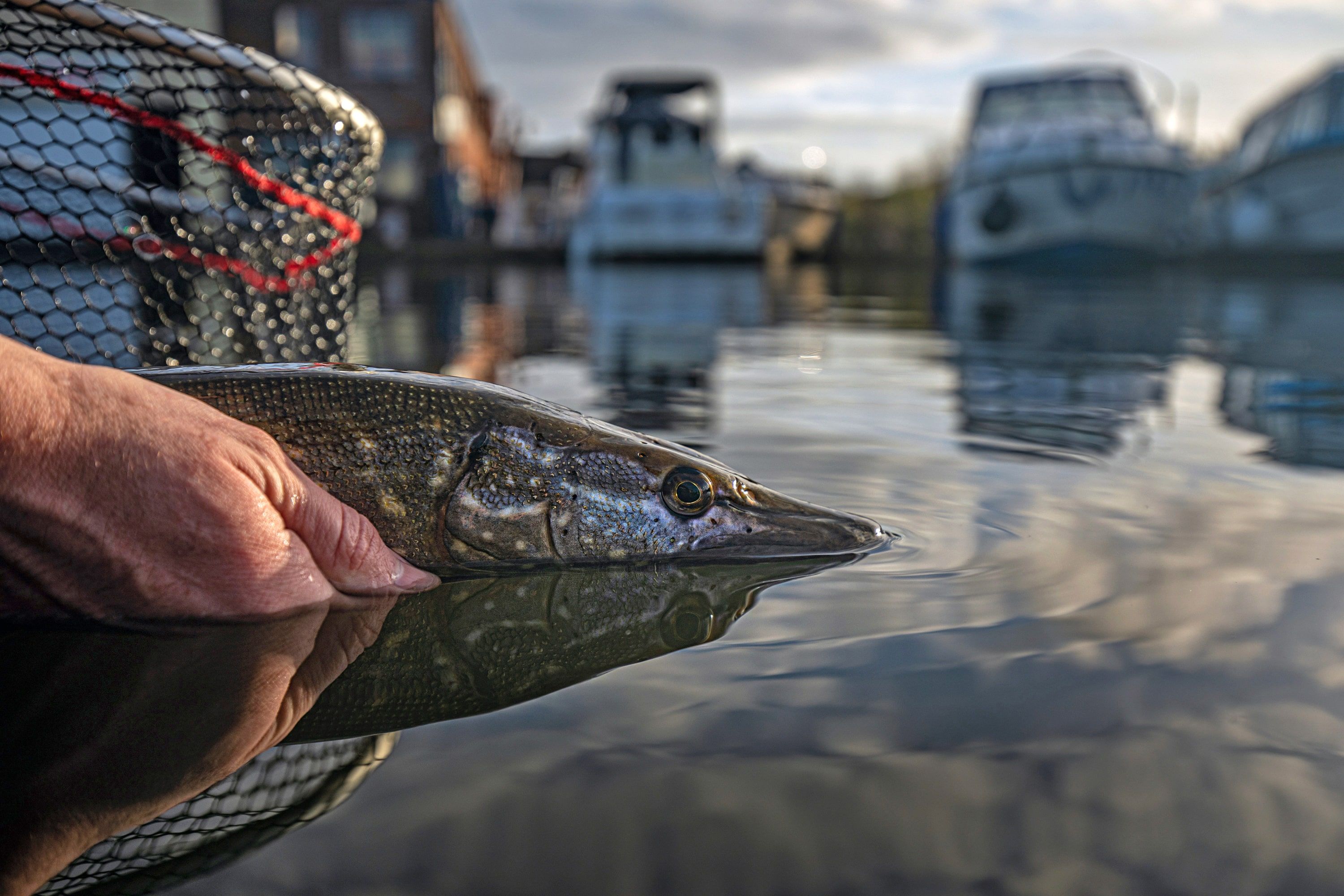 New Pike Fishing Tackle