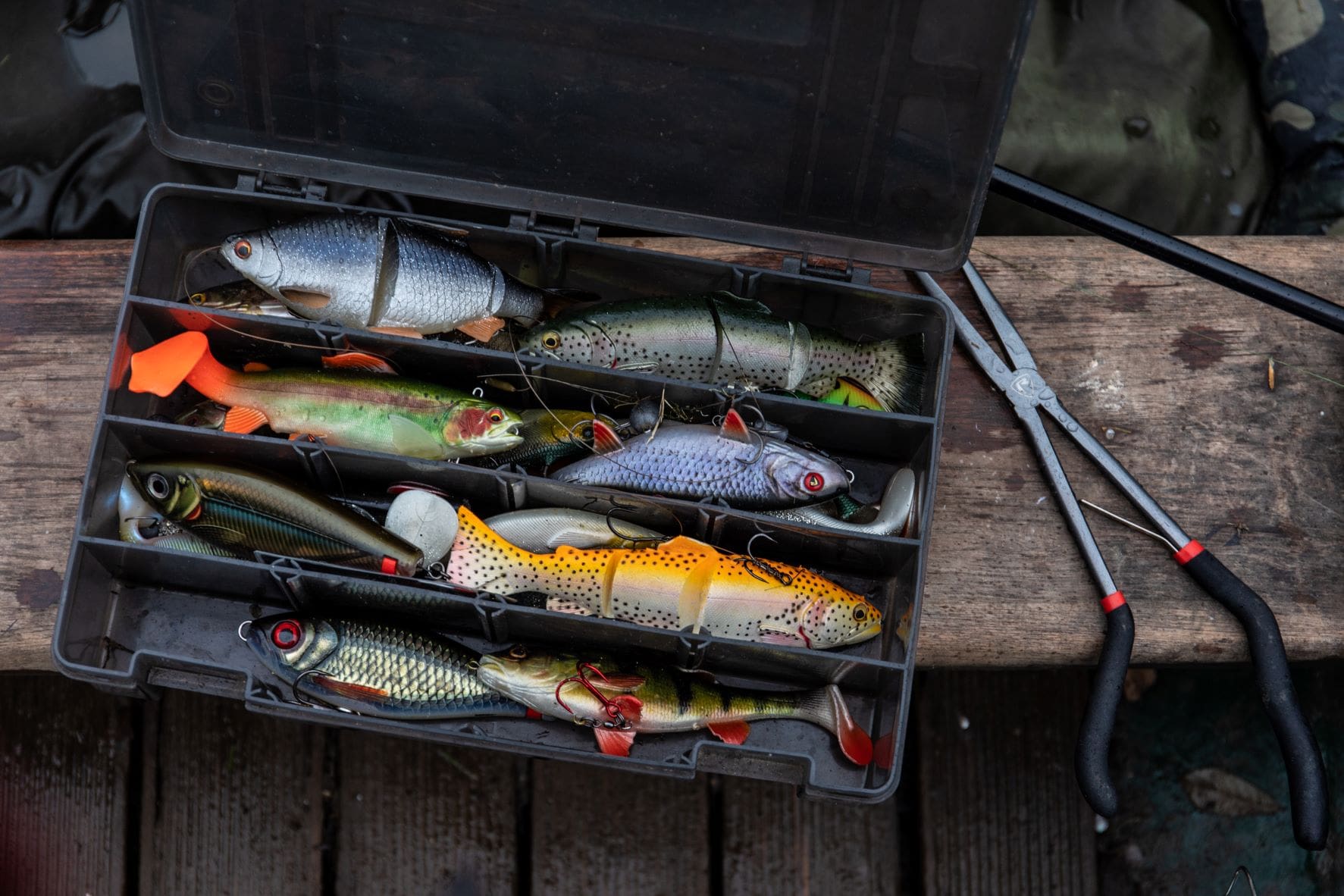 Fishing Lures for predator fishing