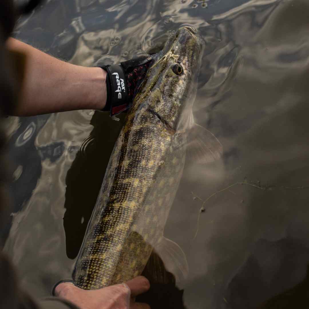 Handle Pike with Care