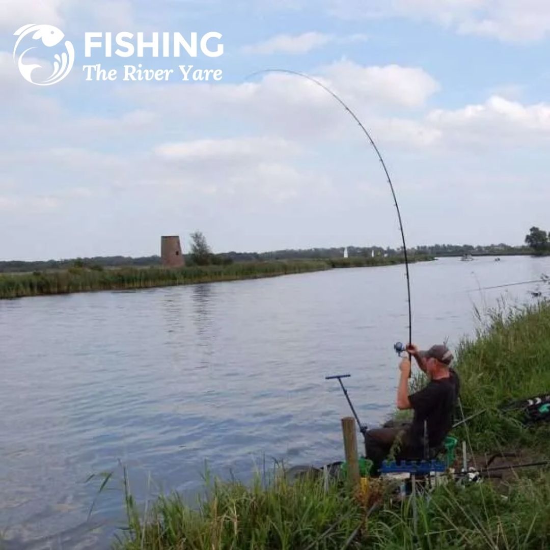 Fishing on the River Yare