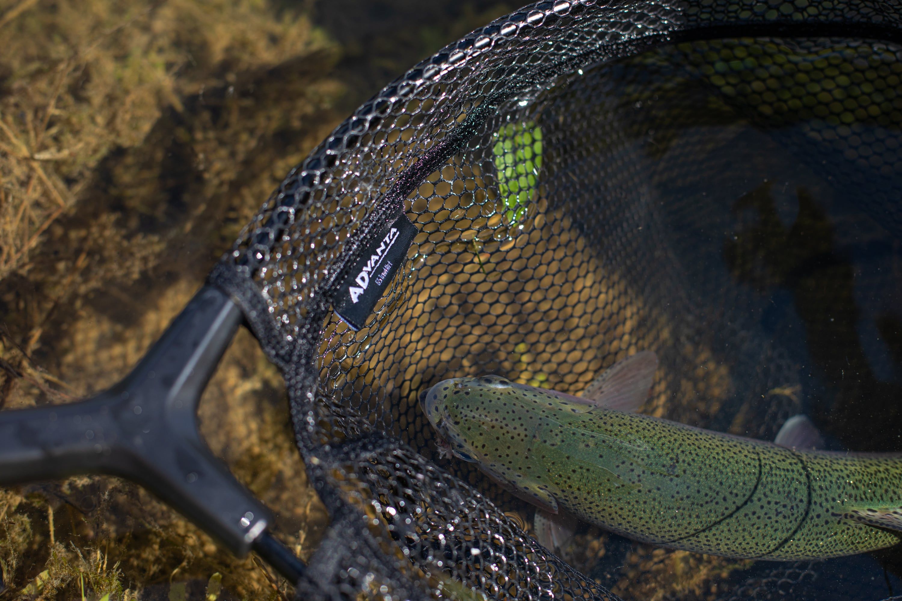 Fly Fishing Net