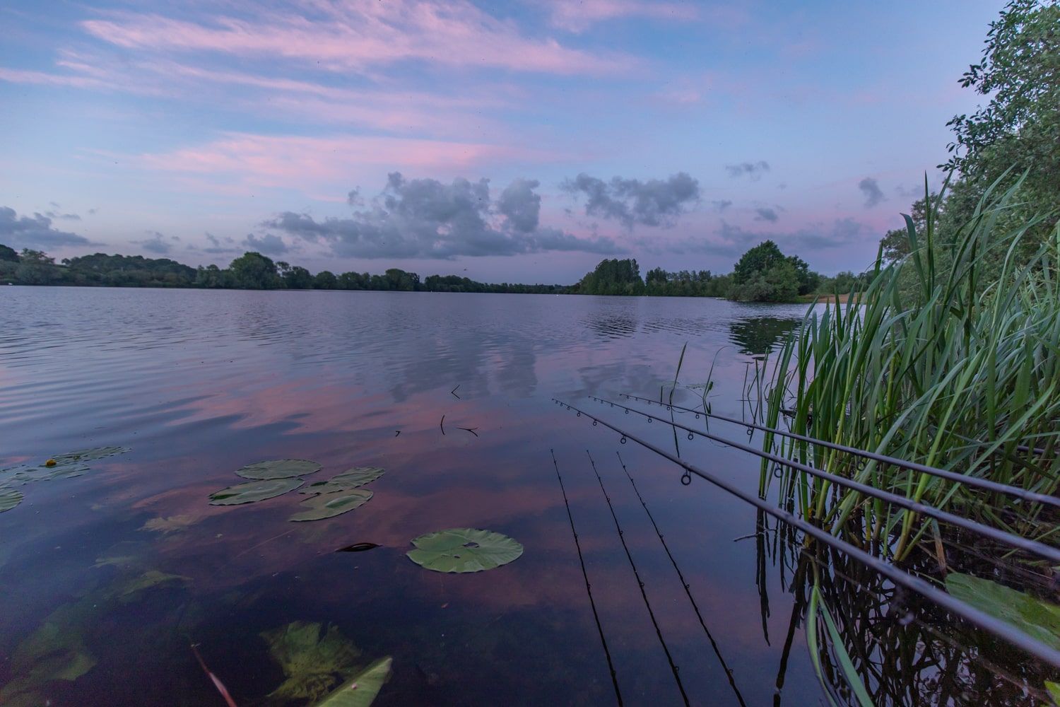 night fishing near me