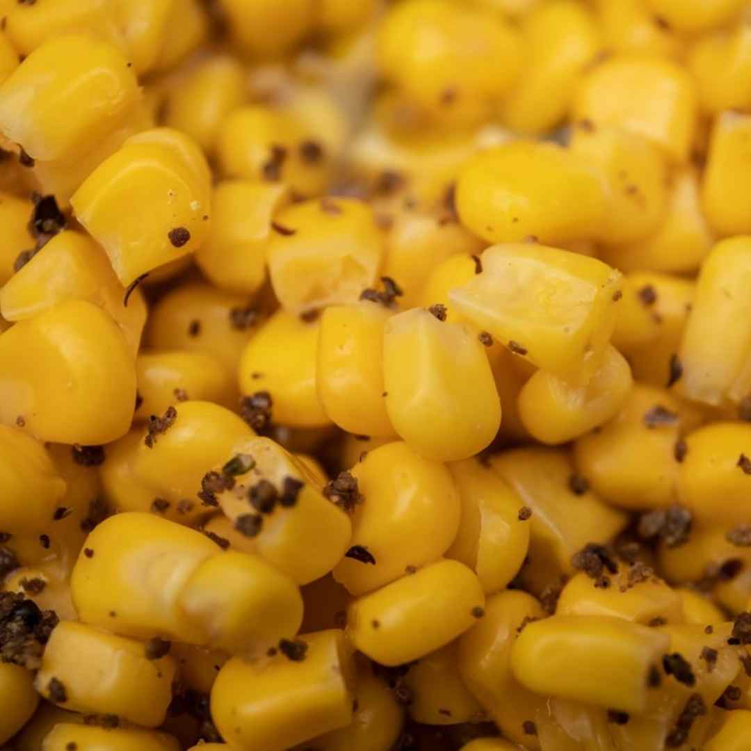 Paticle Baits for Carp 