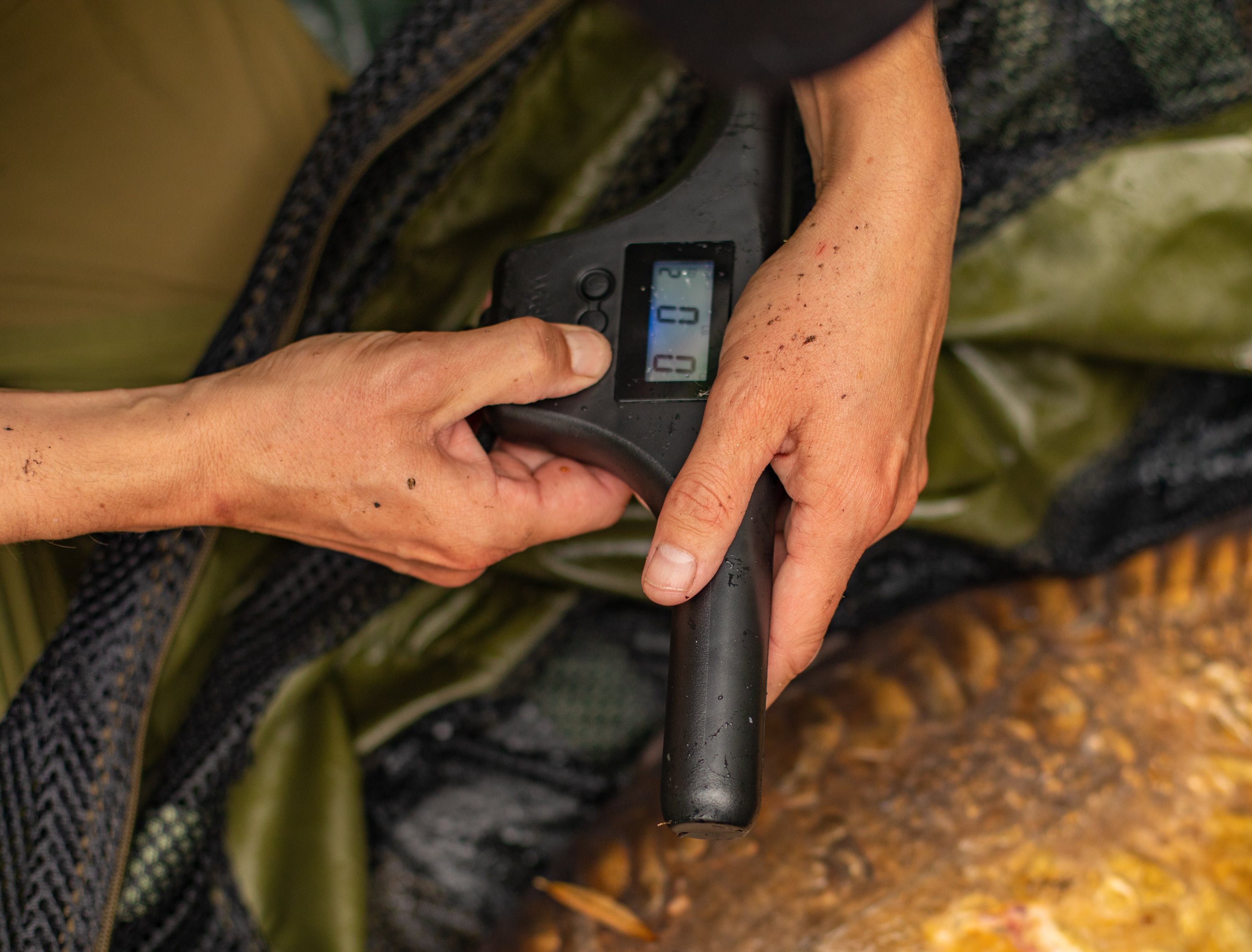 Carp Fishing Scales