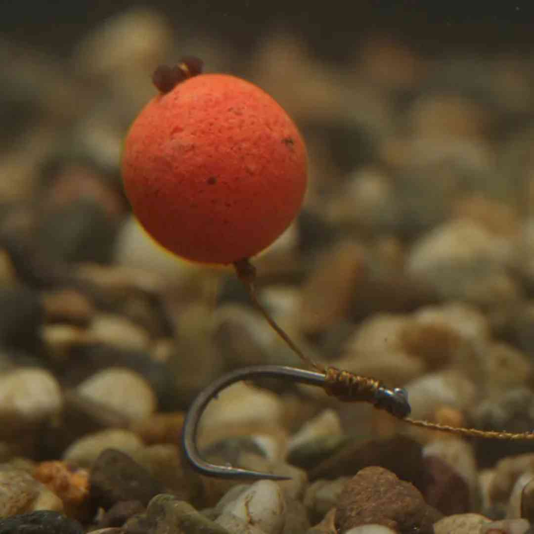 Critically Balanced Wafter Bait in Water