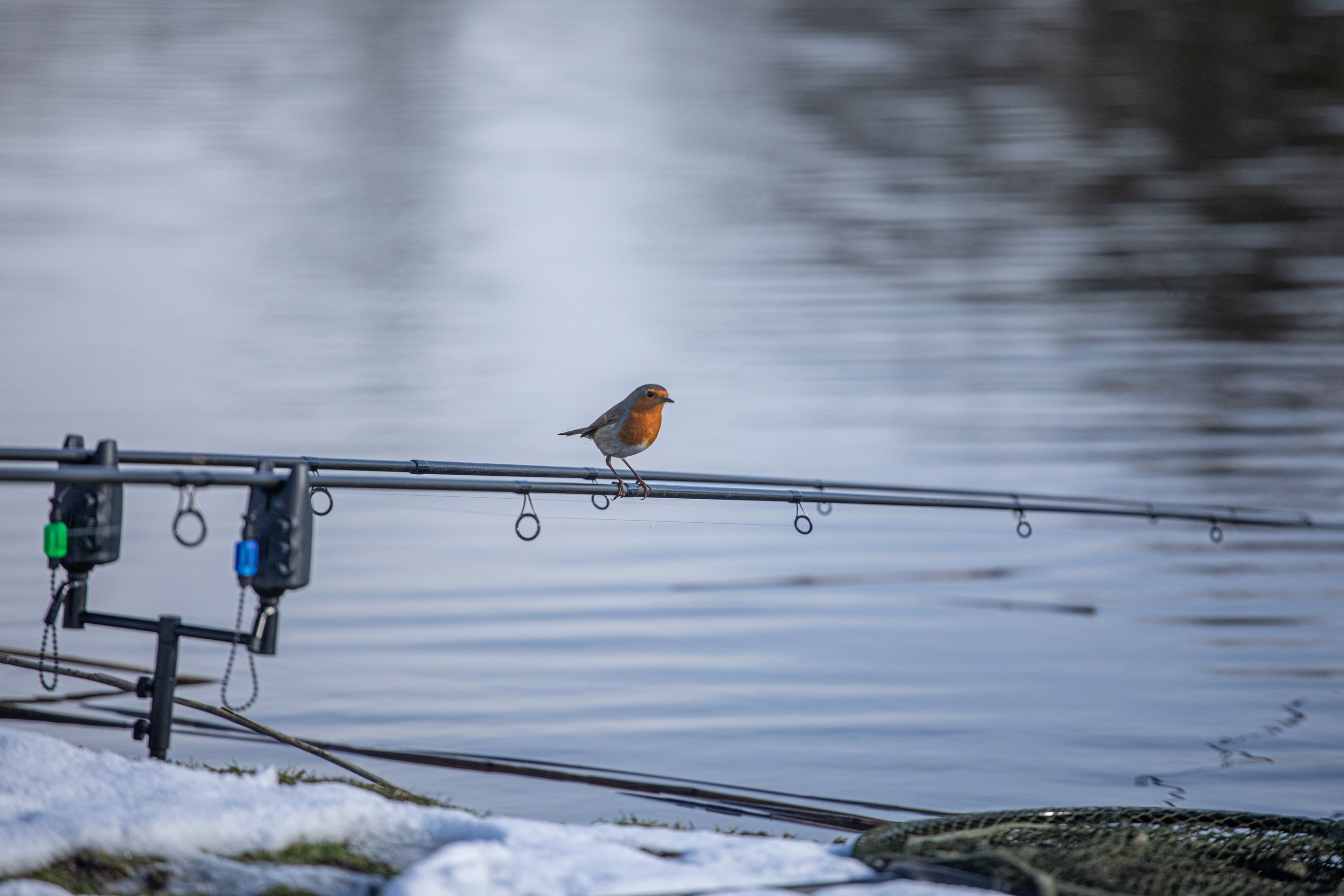Pollution Affecting Wildlife & Angling