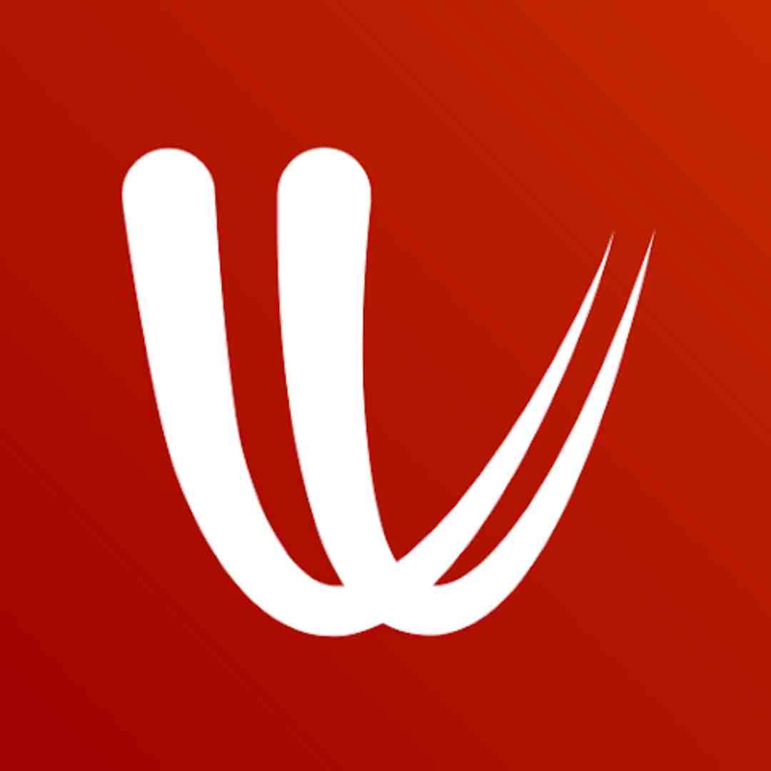 Windy Logo