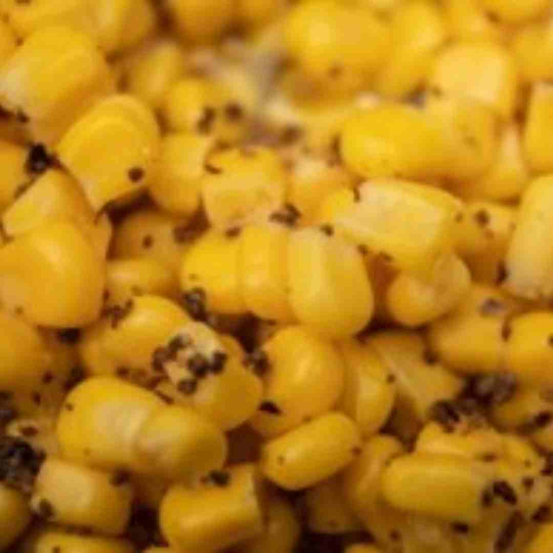 winter carp baits