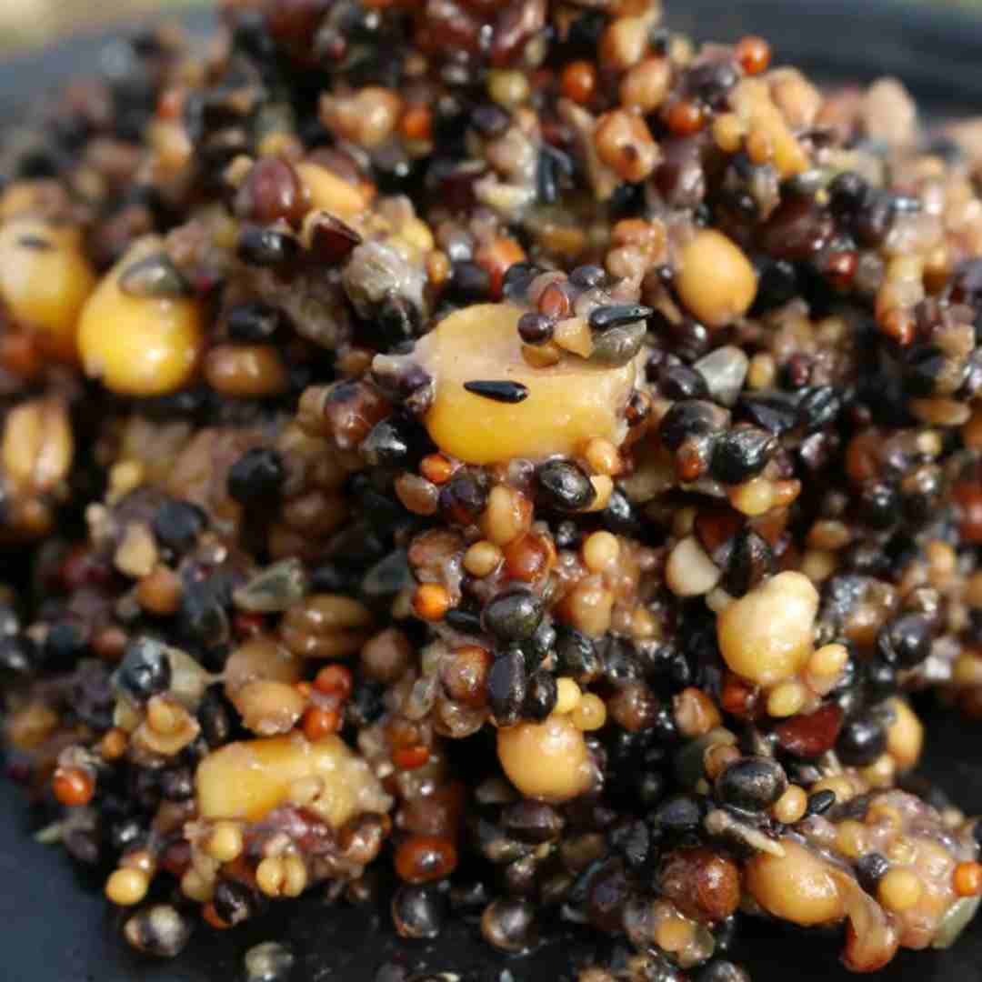 best bait for winter carp fishing feed