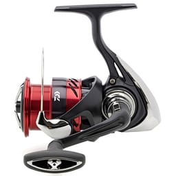 1400 vanguard fishing reel Diwa Reels Spinning 8000 10000 14000 Series Spool Freshwater Saltwater Big-Game Surf Fishing 12+1 Stainless BB 70 LBS Max Drag Carbon Fiber Ultra Smooth Powerful Oversize Gear (8000) : Sports & Outdoors fast start up Keepsake Urn Bondy Braid Fishing Line:20 lb High Vis Orange ATPWONZ Fish Breeding Box