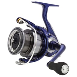 Reels - Coarse / Match - Daiwa - Brands