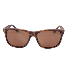 Korda Classics 0.75 Brown Lens Fishing Sunglasses 1