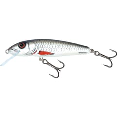 Salmo Minnow 5cm Floating Lure Dace