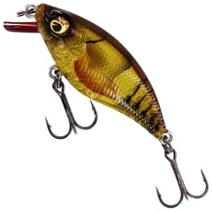 Westin BuzzBite SR Crankbait Low Floating Lure - Clear Brown Craw