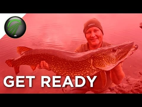 Get Ready for the Take | PIKE SEASON COVERED | Kodex