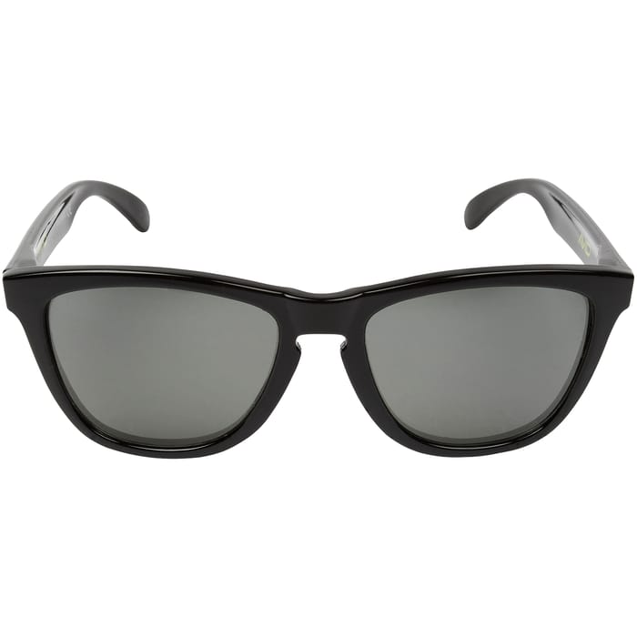 Avid Carp Polarised Smoke Sunglasses