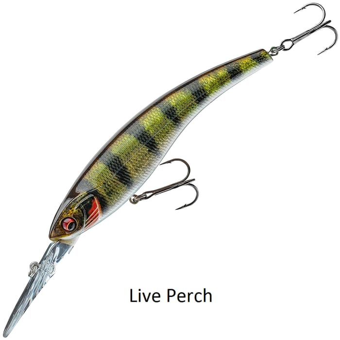Daiwa Prorex Diving Minnow DR Lure Live Perch