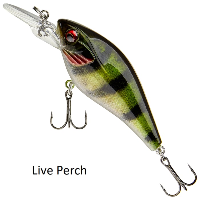 Daiwa Prorex Toddler Crank 60MR Live Perch