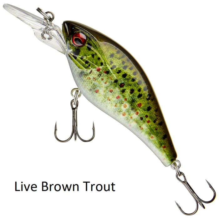 Daiwa Prorex Toddler Crank 60MR Live Brown Trout