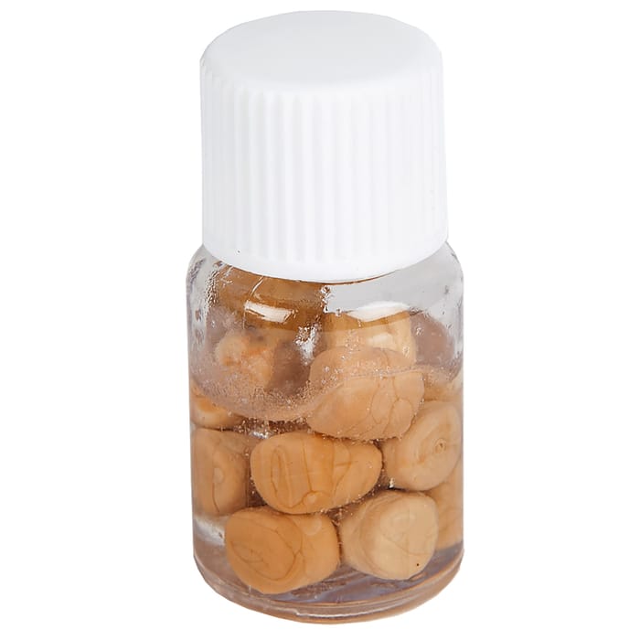 Enterprise Tackle Imitation Carp / Coarse Pellet