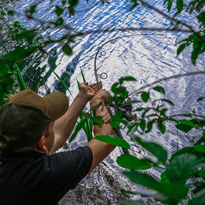 Fox Explorer Rods In Use test Curve