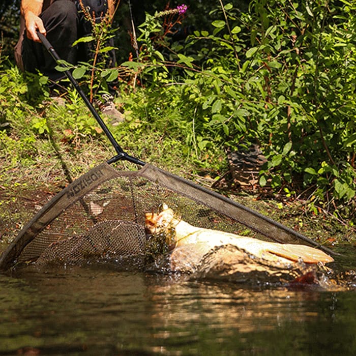 Fox Horizon X4 Landing Nets In Use