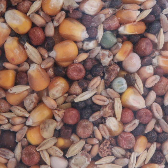Hinders Monster Munga Mix 2.25kg Close Up