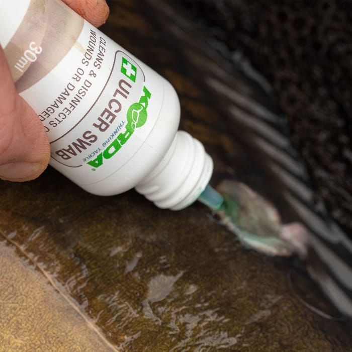 Korda Carp Care Kit 2020 In Use