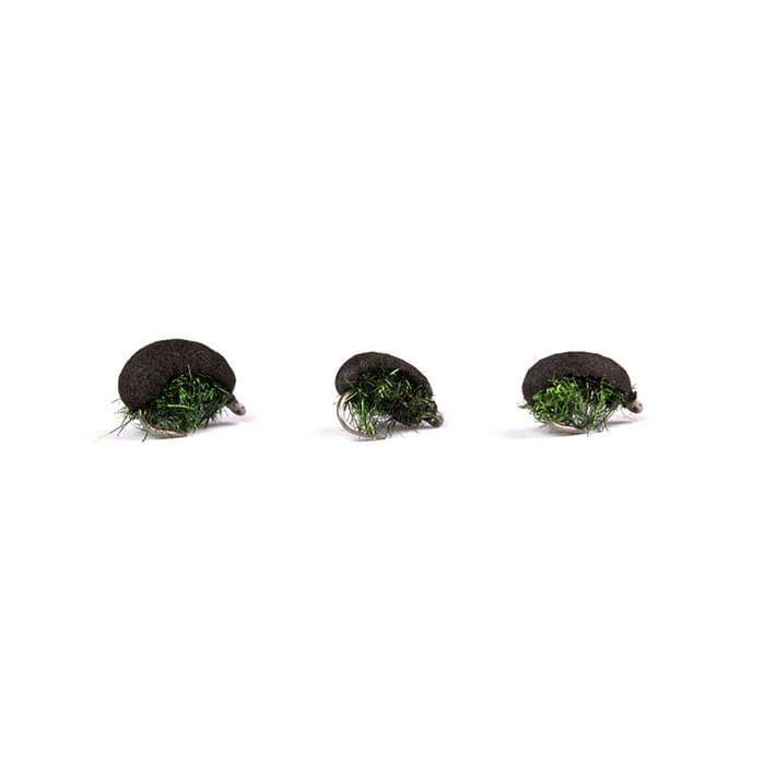 Nash Black Louse Bugs 1