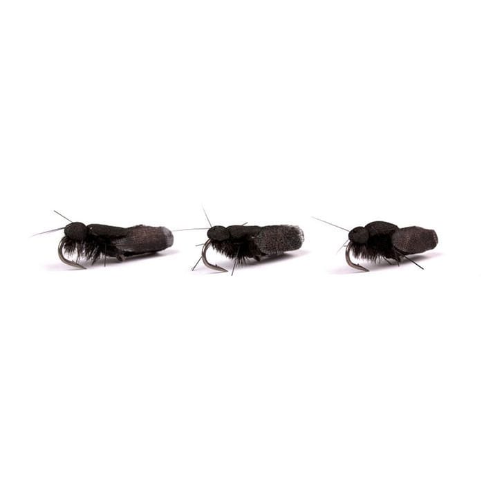 Nash Black Sedge Bugs 1