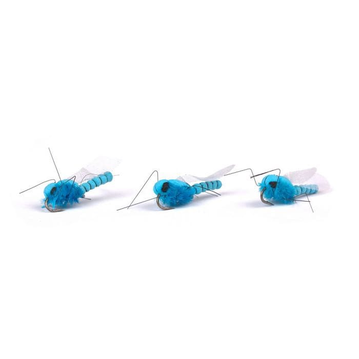 Nash Blue Damselfly Bugs 1