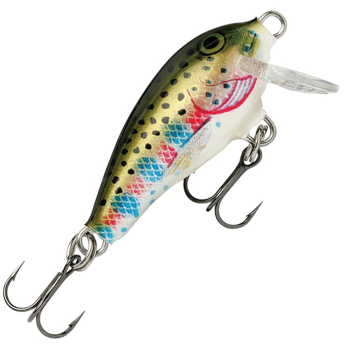 Rainbow Trout