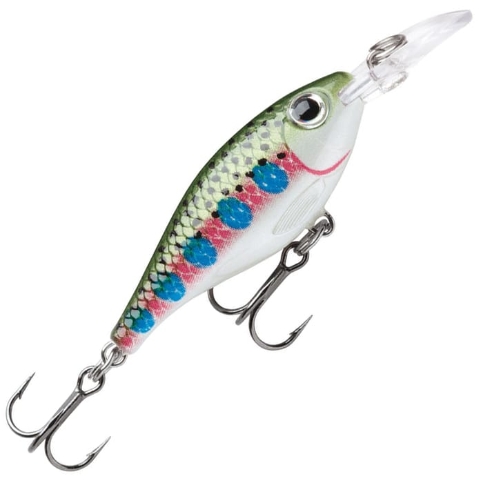 Rainbow Trout