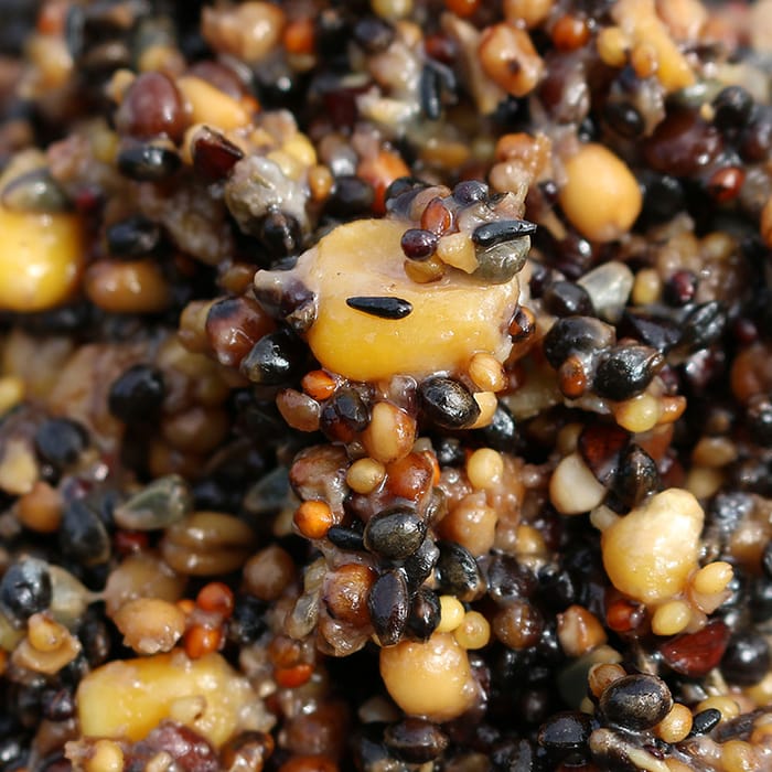 Advanta 500g Handy Pack Particle Spod Mix 1