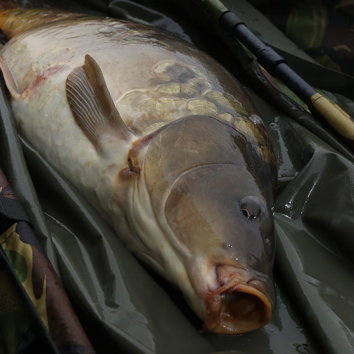 Advanta Camo Mesh Weigh Sling In Use 3