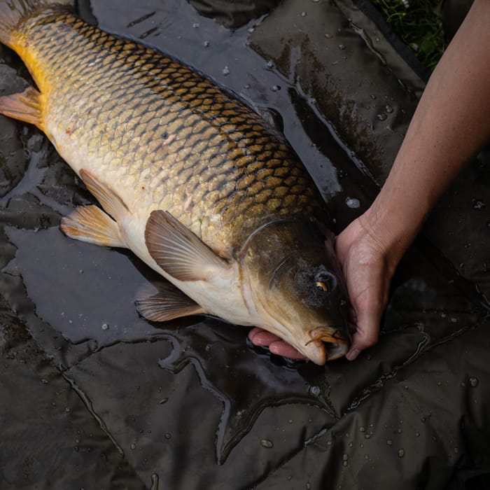 Advanta Protector MZ Beanie Unhooking Mat Large In Use  3