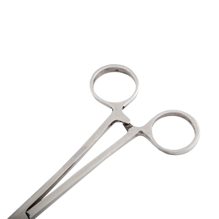 Advanta Stainless Steel Straight Fishing Forceps, Size: 6 Inch 2