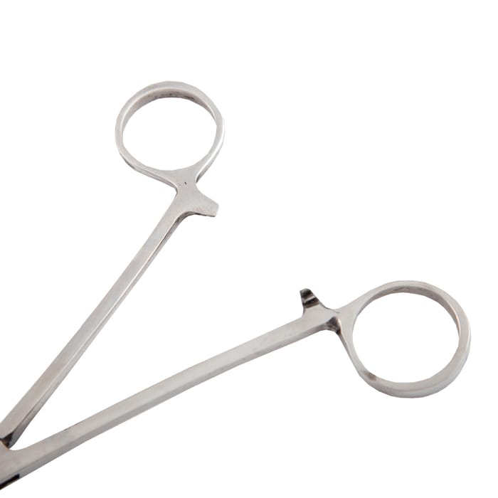 Advanta Stainless Steel Straight Fishing Forceps, Size: 6 Inch 4
