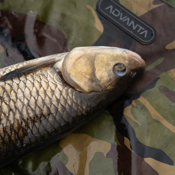 Advanta Specimen Twin Tip Rod In Use 11