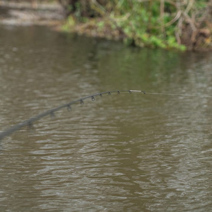 Advanta Specimen Twin Tip Rod In Use 1