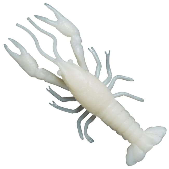 Albino