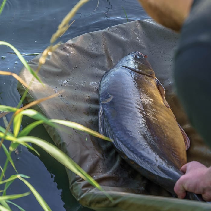 Avid Carp Revolve Folding Flat Mat 4
