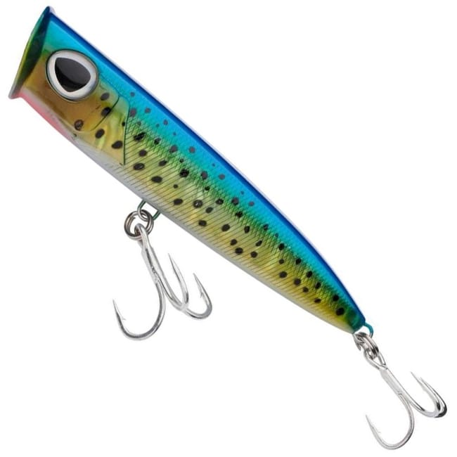 Mahi Mahi