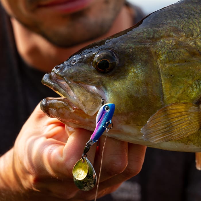 Berkley Pulse Spintail Lure 21g In Use 4