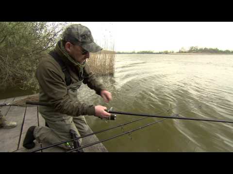 Daiwa Infinity DF Carp Rod 1